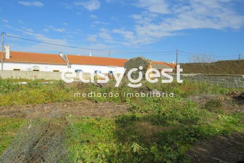 Helårsgrund i Aljustrel, Beja, Aljustrel - € 270.000 | Ref: BJ91451AJ - foto 6