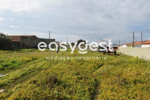 Helårsgrund i Aljustrel, Beja, Aljustrel - € 270.000 | Ref: BJ91451AJ - foto 10