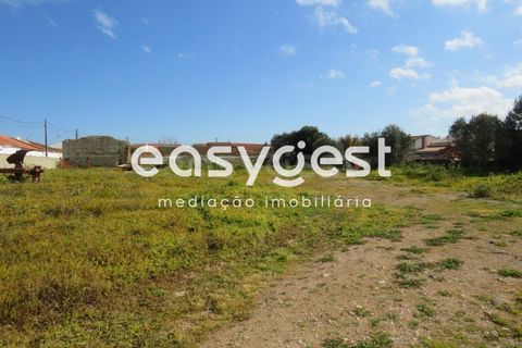 Helårsgrund i Aljustrel, Beja, Aljustrel - € 270.000 | Ref: BJ91451AJ - foto 11