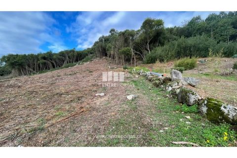 Terra a Areosa, Viana do Castelo, Areosa - € 320.000 | Ref: VCM13877 - foto 2