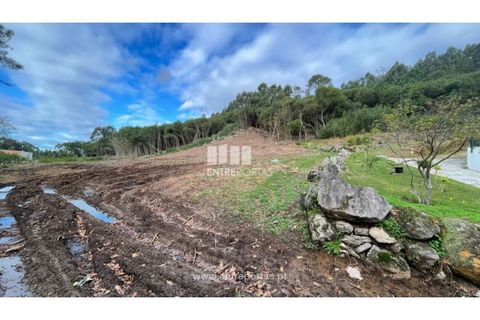 Terra a Areosa, Viana do Castelo, Areosa - € 320.000 | Ref: VCM13877 - foto 6