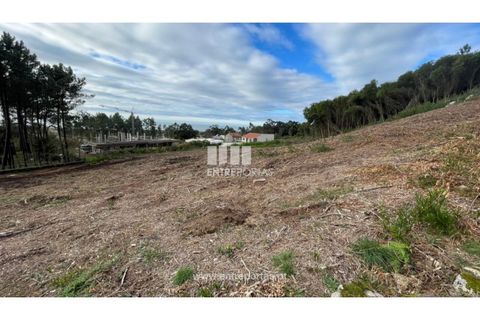 Terra a Areosa, Viana do Castelo, Areosa - € 320.000 | Ref: VCM13877 - foto 7