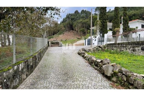 Terra a Areosa, Viana do Castelo, Areosa - € 320.000 | Ref: VCM13877 - foto 13
