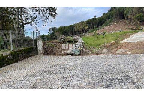 Terra a Areosa, Viana do Castelo, Areosa - € 320.000 | Ref: VCM13877 - foto 15