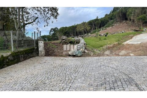 Terra a Areosa, Viana do Castelo, Areosa - € 320.000 | Ref: VCM13877 - foto 16