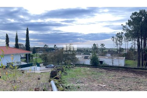 Terra a Areosa, Viana do Castelo, Areosa - € 320.000 | Ref: VCM13877 - foto 19