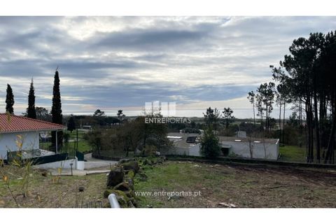 Terra a Areosa, Viana do Castelo, Areosa - € 320.000 | Ref: VCM13877 - foto 23