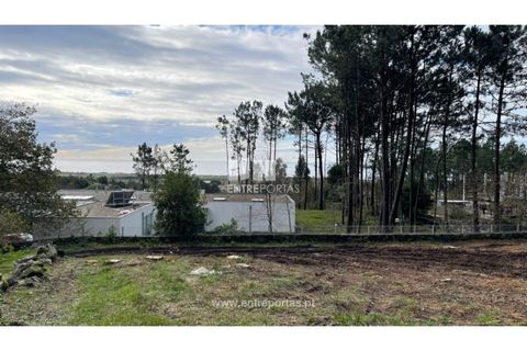 Terra a Areosa, Viana do Castelo, Areosa - € 320.000 | Ref: VCM13877 - foto 27