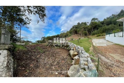 Terra a Areosa, Viana do Castelo, Areosa - € 320.000 | Ref: VCM13877 - foto 28