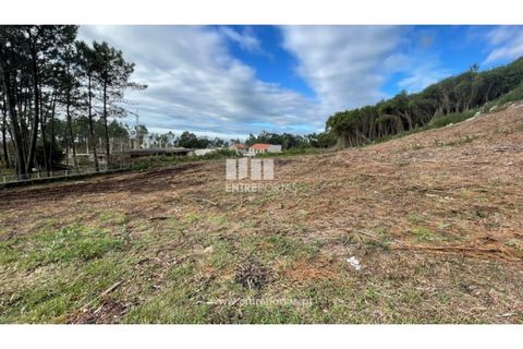 Terra a Areosa, Viana do Castelo, Areosa - € 320.000 | Ref: VCM13877 - foto 30