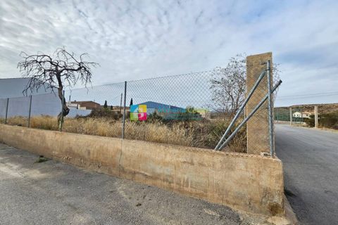 Terra a Albox, Almeria, Albox - € 39.000 | Ref: 2205 - foto 4