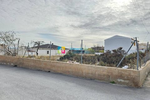 Terra a Albox, Almeria, Albox - € 39.000 | Ref: 2205 - foto 6