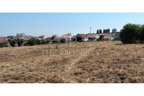 Helårsgrund i Amora, Setubal, Amora - € 3.000.000 | Ref: BR217 - foto 6