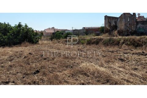 Helårsgrund i Amora, Setubal, Amora - € 3.000.000 | Ref: BR217 - foto 8