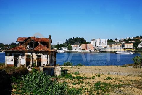 Farm i Oliveira do Douro, Porto, Oliveira do Douro - € 1.500.000 | Ref: SAFTI:003724 - foto 2