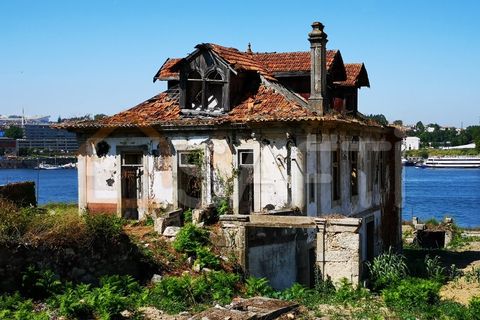 Farm i Oliveira do Douro, Porto, Oliveira do Douro - € 1.500.000 | Ref: SAFTI:003724 - foto 3