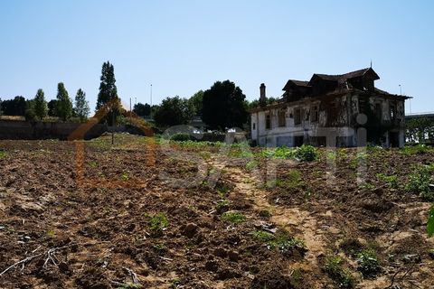 Farm i Oliveira do Douro, Porto, Oliveira do Douro - € 1.500.000 | Ref: SAFTI:003724 - foto 5