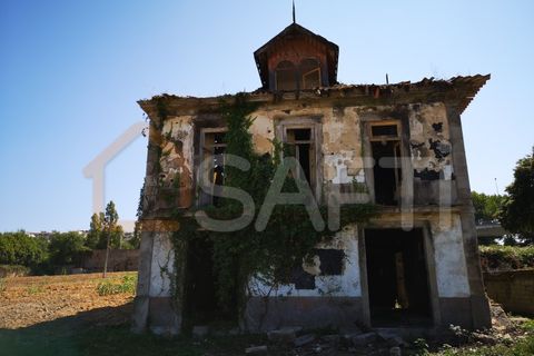 Farm i Oliveira do Douro, Porto, Oliveira do Douro - € 1.500.000 | Ref: SAFTI:003724 - foto 6