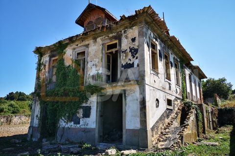 Farm i Oliveira do Douro, Porto, Oliveira do Douro - € 1.500.000 | Ref: SAFTI:003724 - foto 7