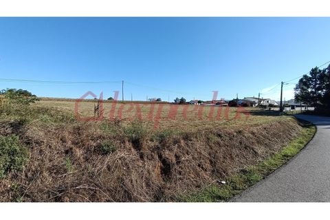 Helårsgrund i Agueda, Aveiro, Agueda - € 200.000 | Ref: AG 3975 - foto 3