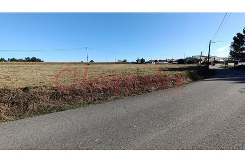 Helårsgrund i Agueda, Aveiro, Agueda - € 200.000 | Ref: AG 3975 - foto 1