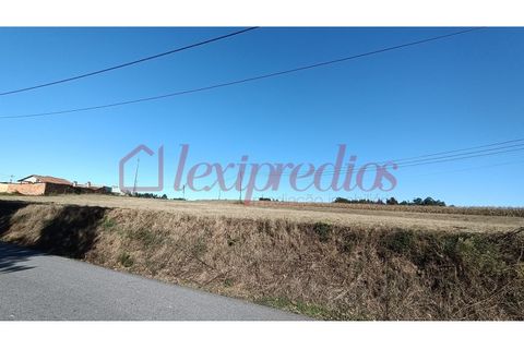 Helårsgrund i Agueda, Aveiro, Agueda - € 200.000 | Ref: AG 3975 - foto 4