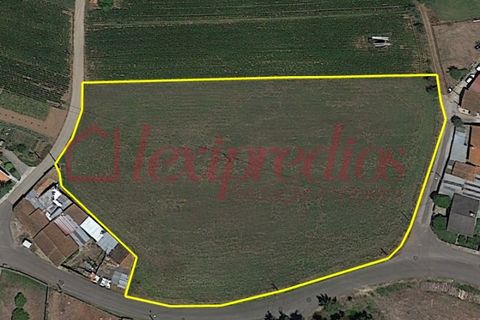 Helårsgrund i Agueda, Aveiro, Agueda - € 200.000 | Ref: AG 3975 - foto 5
