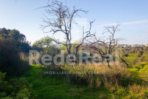 Helårsgrund i Moncarapacho, Faro, Moncarapacho - € 20.000 | Ref: 022201577O-D - foto 2
