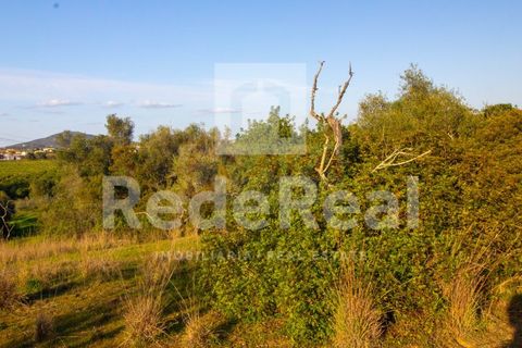 Helårsgrund i Moncarapacho, Faro, Moncarapacho - € 20.000 | Ref: 022201577O-D - foto 3