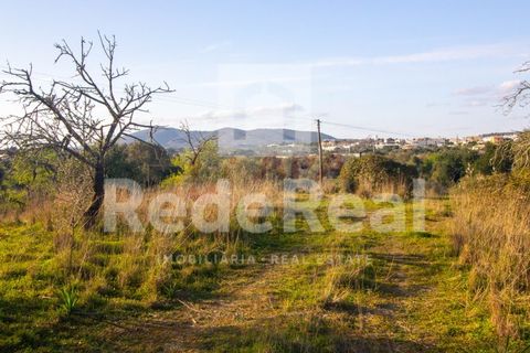 Helårsgrund i Moncarapacho, Faro, Moncarapacho - € 20.000 | Ref: 022201577O-D - foto 4
