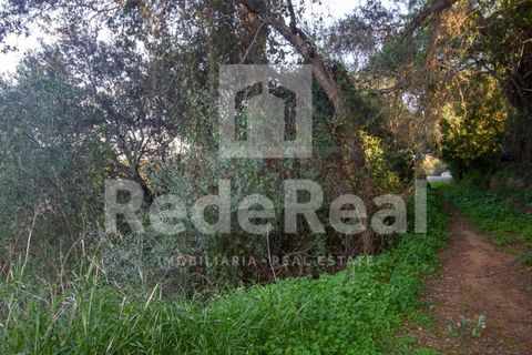 Helårsgrund i Moncarapacho, Faro, Moncarapacho - € 20.000 | Ref: 022201577O-D - foto 5