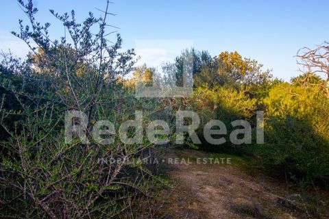 Helårsgrund i Moncarapacho, Faro, Moncarapacho - € 20.000 | Ref: 022201577O-D - foto 6