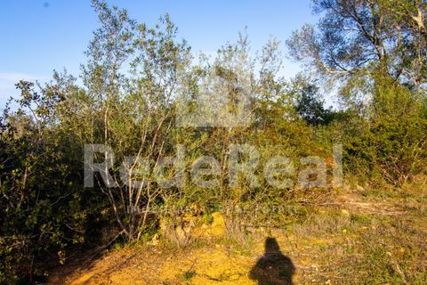 Helårsgrund i Moncarapacho, Faro, Moncarapacho - € 20.000 | Ref: 022201577O-D - foto 7