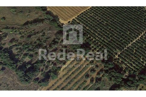 Helårsgrund i Moncarapacho, Faro, Moncarapacho - € 20.000 | Ref: 022201577O-D - foto 8