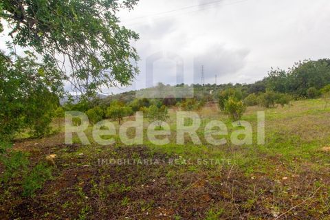 Helårsgrund i Estoi, Faro, Estoi - € 70.000 | Ref: 022201727F - foto 1