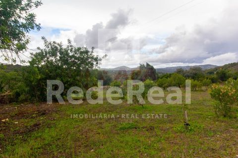 Helårsgrund i Estoi, Faro, Estoi - € 70.000 | Ref: 022201727F - foto 3