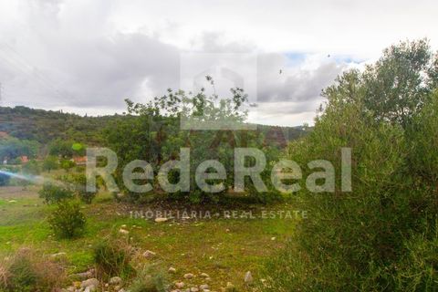 Helårsgrund i Estoi, Faro, Estoi - € 70.000 | Ref: 022201727F - foto 5
