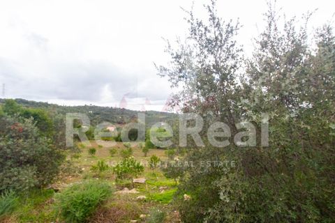 Helårsgrund i Estoi, Faro, Estoi - € 70.000 | Ref: 022201727F - foto 6