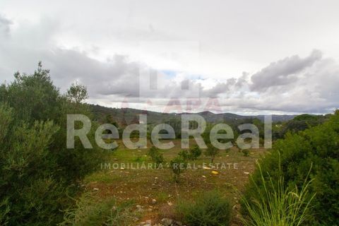 Helårsgrund i Estoi, Faro, Estoi - € 70.000 | Ref: 022201727F - foto 7