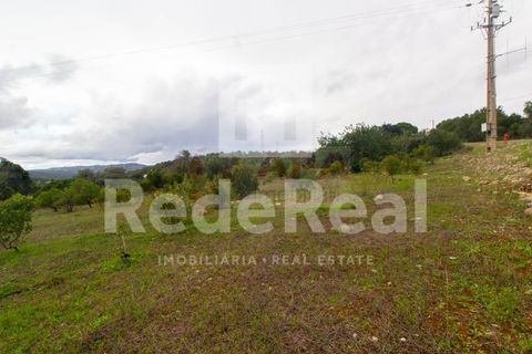 Helårsgrund i Estoi, Faro, Estoi - € 70.000 | Ref: 022201727F - foto 9