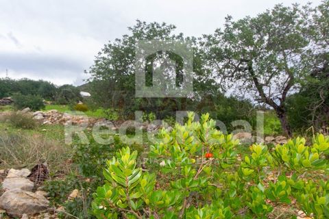 Helårsgrund i Estoi, Faro, Estoi - € 90.000 | Ref: 022201726F - foto 2