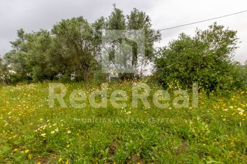 Helårsgrund i Estoi, Faro, Estoi - € 270.000 | Ref: 022201588F - foto 6