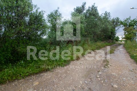 Helårsgrund i Estoi, Faro, Estoi - € 270.000 | Ref: 022201588F - foto 9
