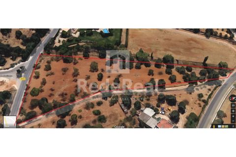 Helårsgrund i Estoi, Faro, Estoi - € 460.000 | Ref: 022191297F - foto 1