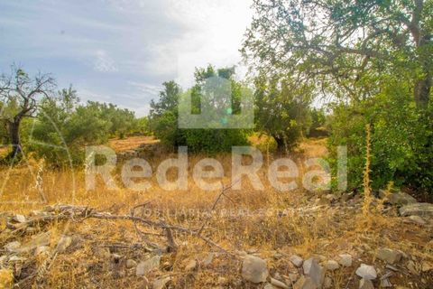 Helårsgrund i Estoi, Faro, Estoi - € 35.000 | Ref: 02217733F - foto 1