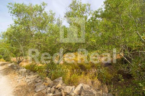 Helårsgrund i Estoi, Faro, Estoi - € 35.000 | Ref: 02217733F - foto 3