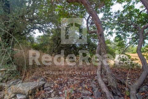 Helårsgrund i Estoi, Faro, Estoi - € 35.000 | Ref: 02217733F - foto 4