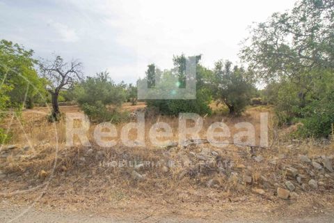 Helårsgrund i Estoi, Faro, Estoi - € 35.000 | Ref: 02217733F - foto 6