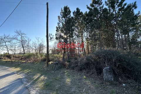 Helårsgrund i Viseu, Viseu, Viseu - € 65.000 | Ref: 189232044 - foto 1