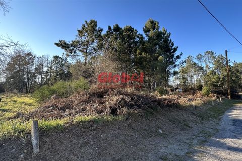 Helårsgrund i Viseu, Viseu, Viseu - € 65.000 | Ref: 189232044 - foto 2